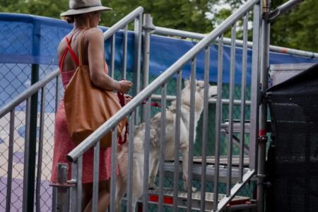 DSC 8435KärgFotoOÜ