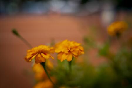 SA706868KärgFotoOÜ