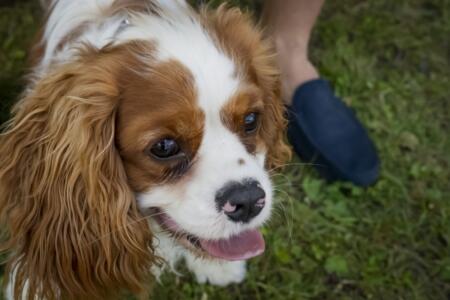 SA706948KärgFotoOÜ