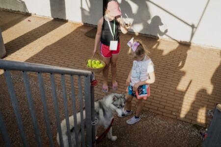 SA707102KärgFotoOÜ